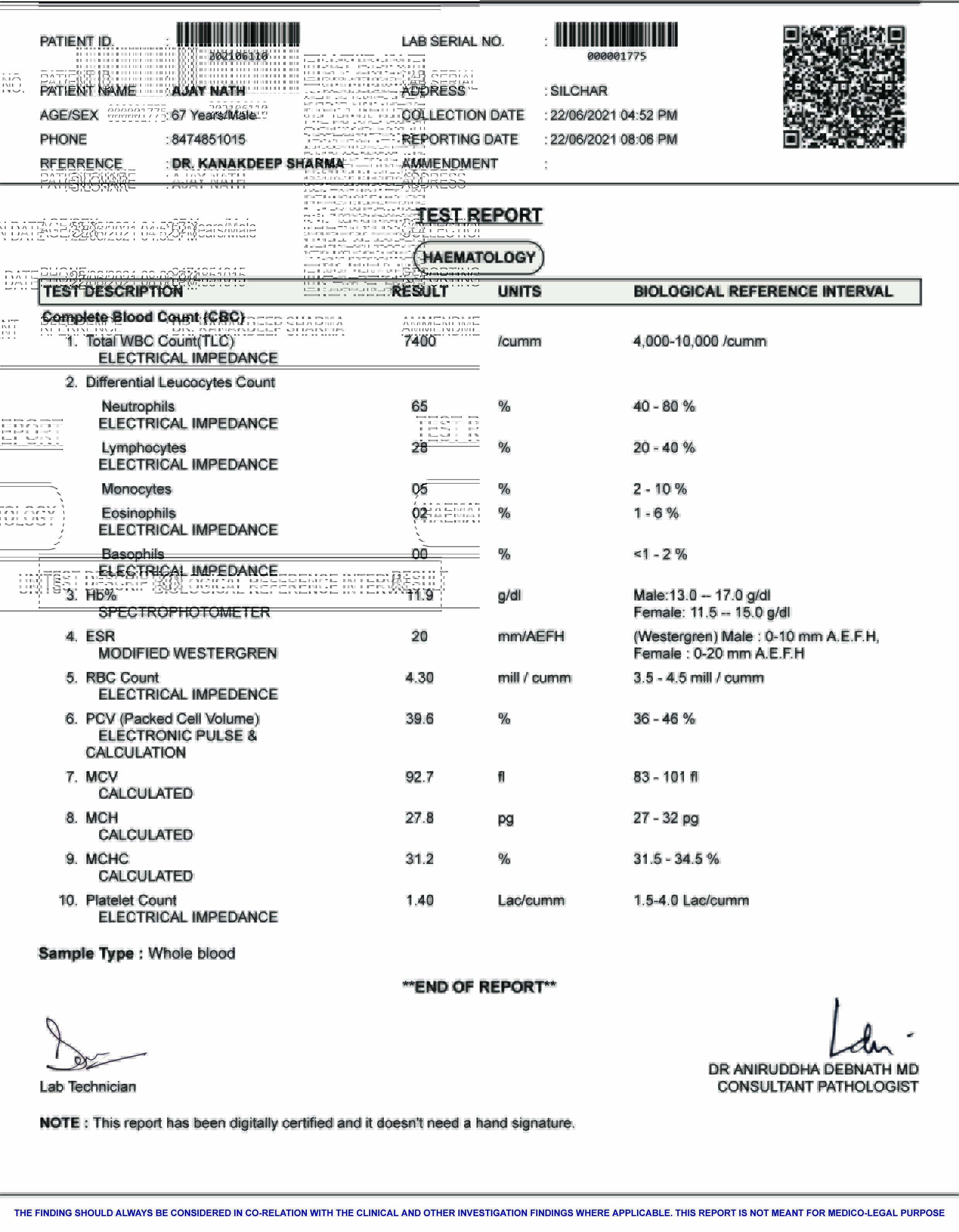Report